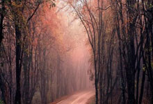 爱游戏：维尼修斯当选2024国际足联年度男足最佳球员央视新闻客户端.