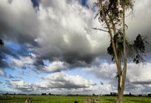 爱游戏：沙特阿拉伯获2034年世界杯主办权.