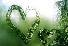 利瓦科维奇：我们习惯了与最好的球队对抗；对手非常危险.