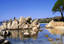 韦世豪：在工体拿1分不易，我状态没问题，希望国安越来越好.